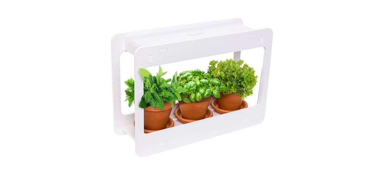 white indoor herb garden with 3 pots