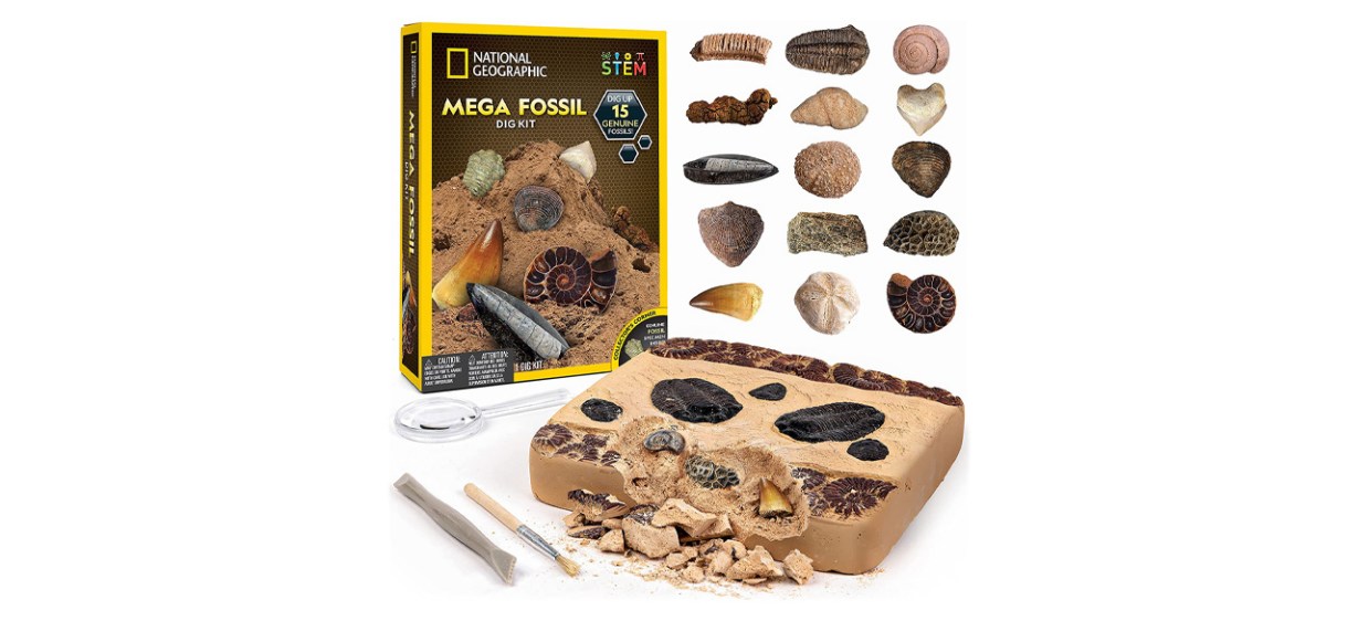 National Geographic Mega Fossil Dig Kit