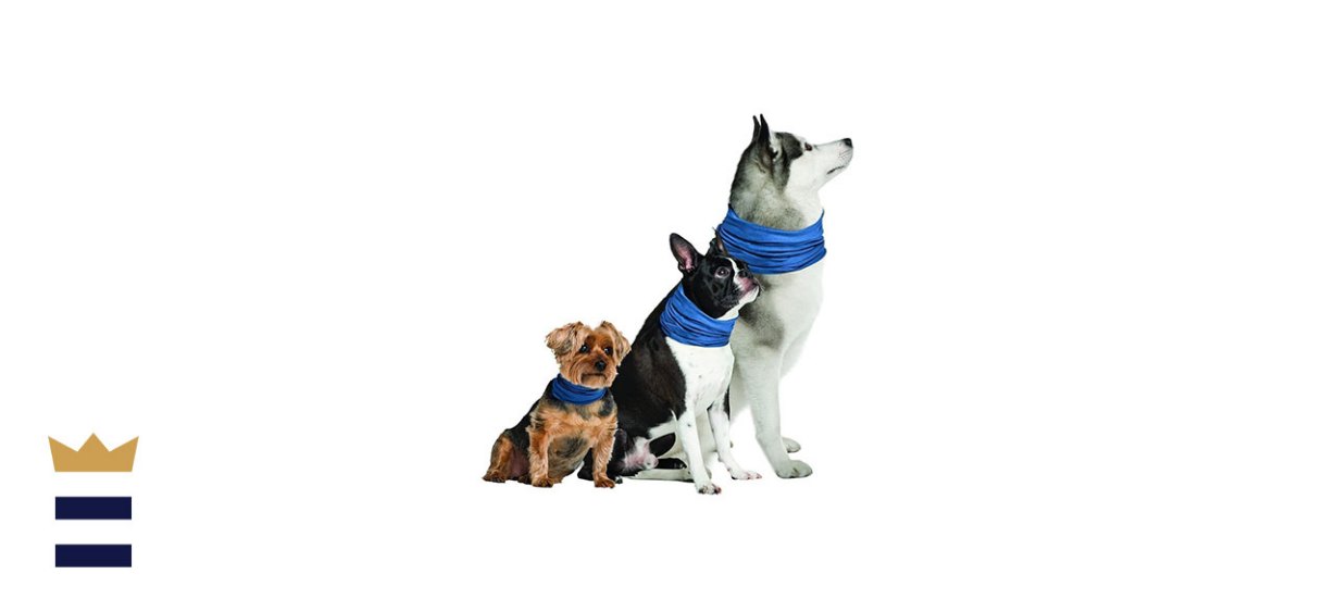 Novel Brands K9 Chill Dog Cooling Collar