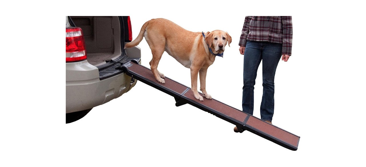 Pet gear outlet dog steps