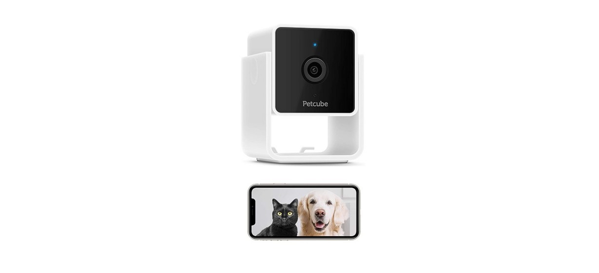 Petcube Cam