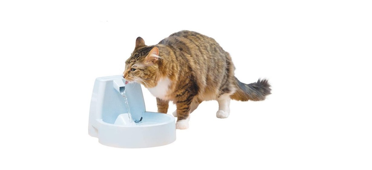 PetSafe Drinkwell Original Pet Fountain