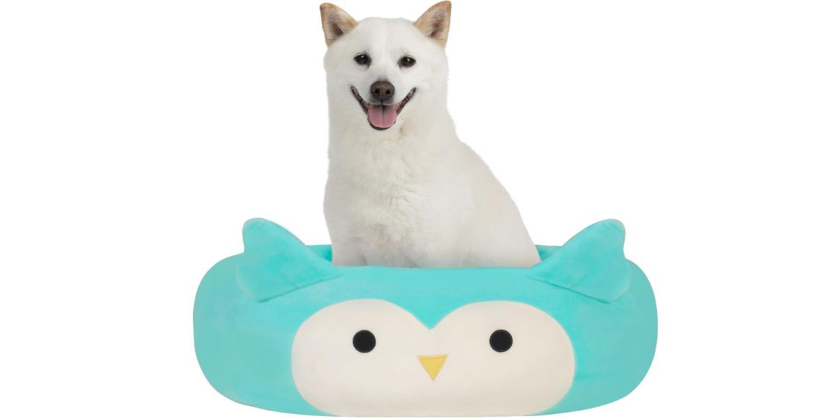 Squishmallows Original 24-Inch Winston The Owl Pet Bed