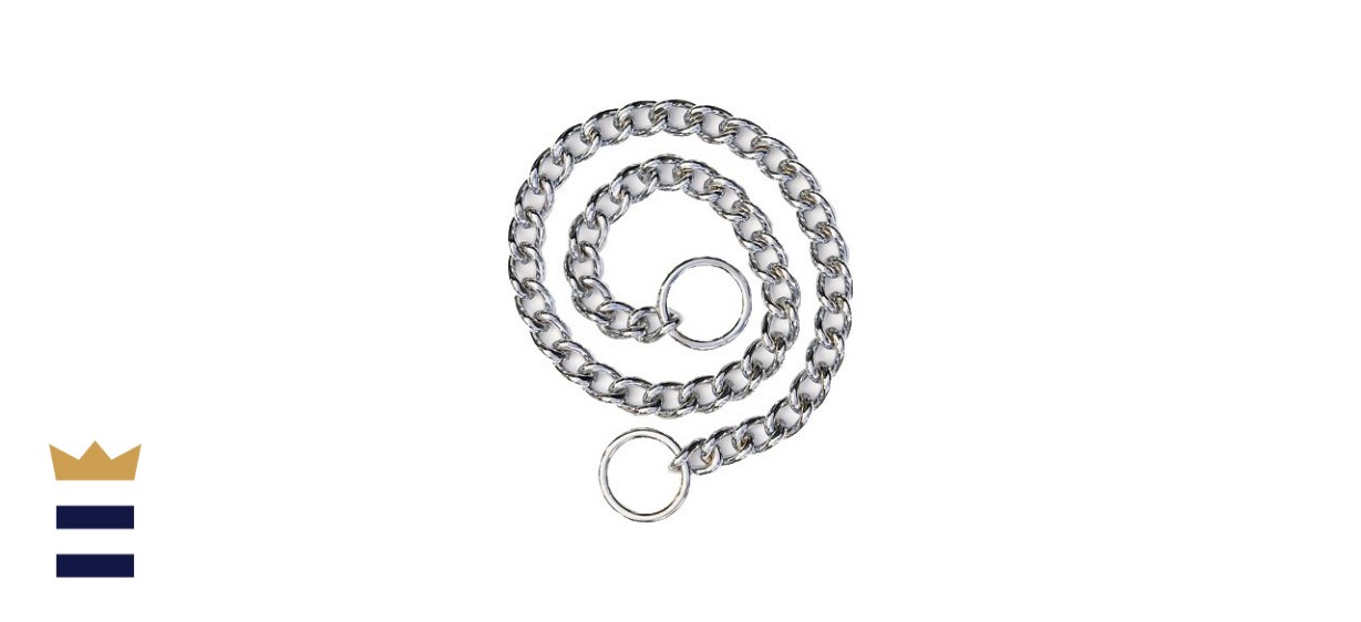 SportDOG Training Dog Chain Slip Collar