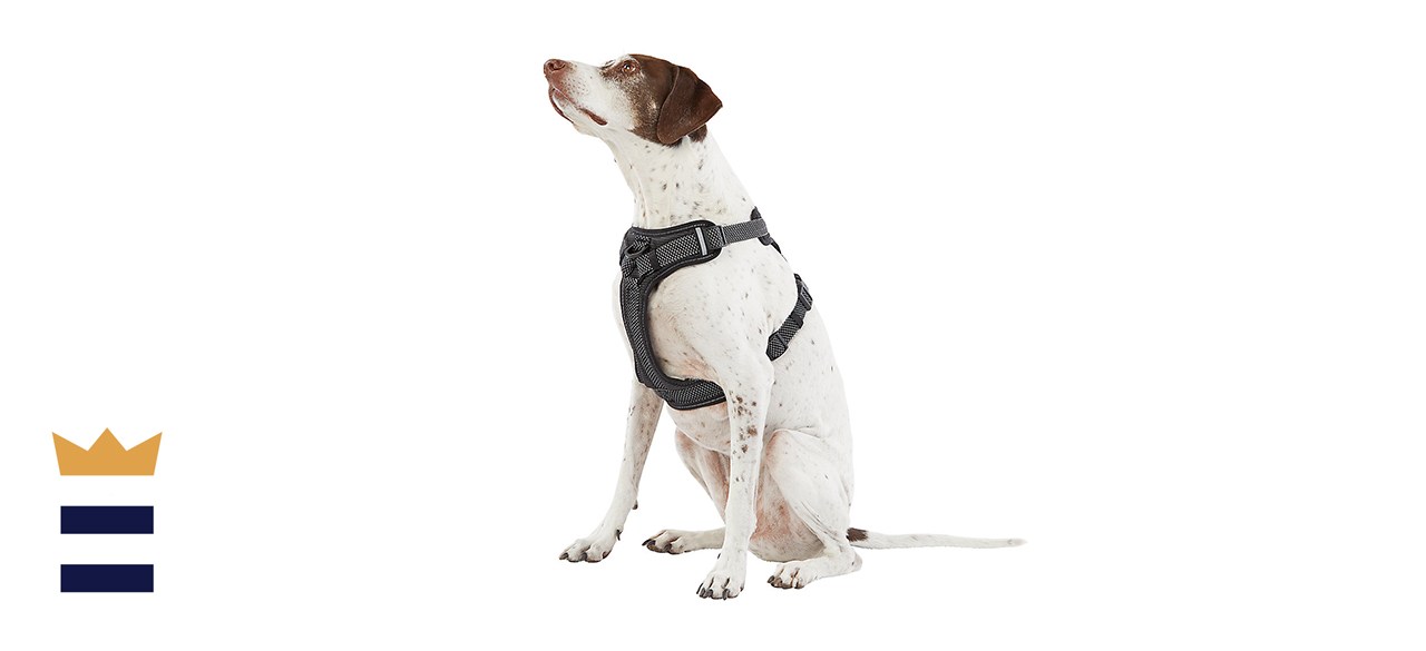 Front clip harness petsmart hotsell