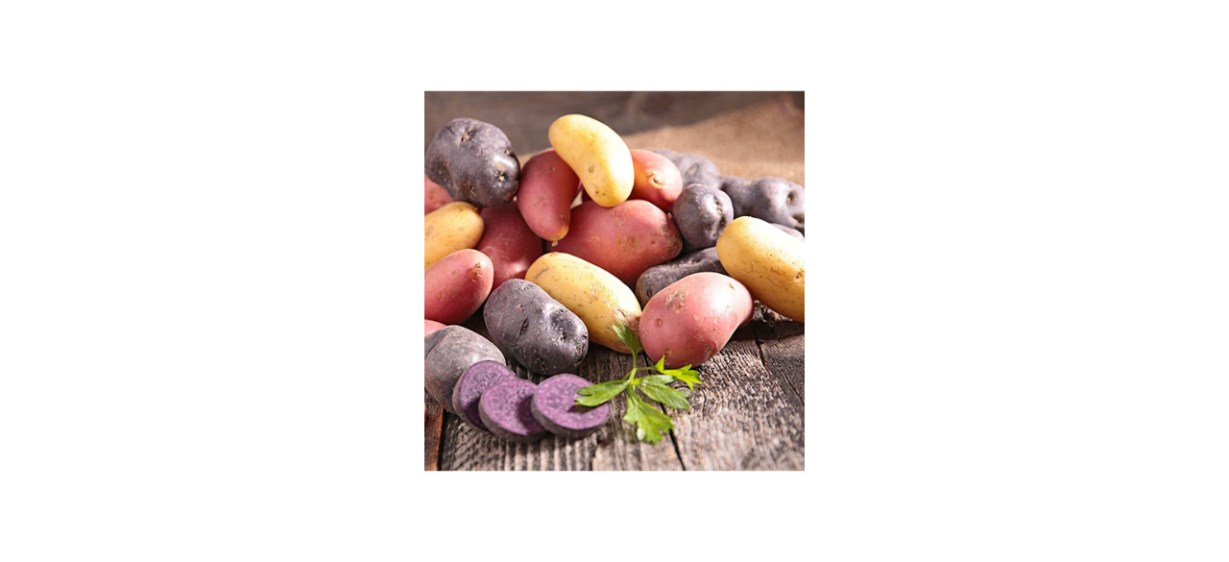 Easy to Grow Organic U.S. Grown Potato Medley Seeds