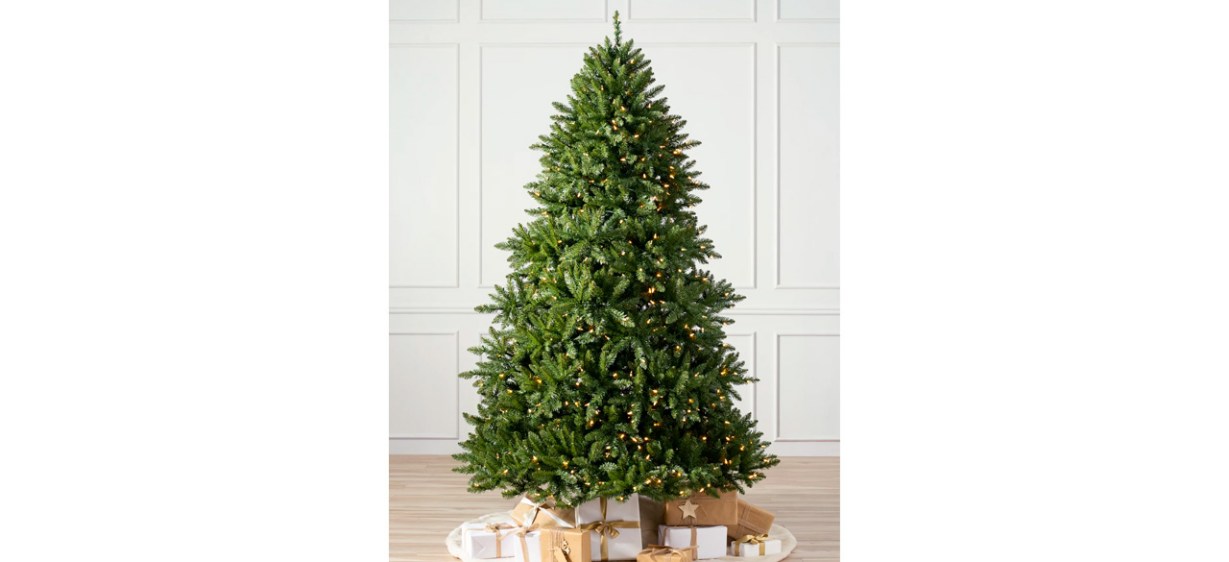 Basalm Hill Vancouver Spruce Tree