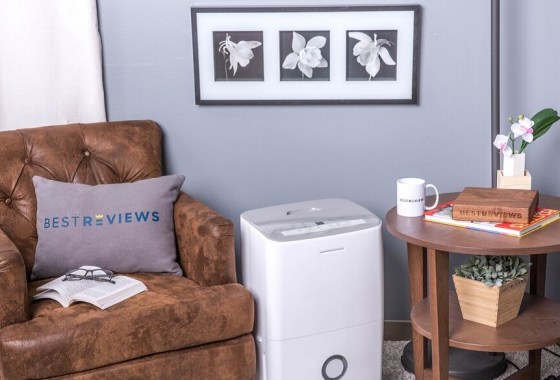 What does a dehumidifier do?