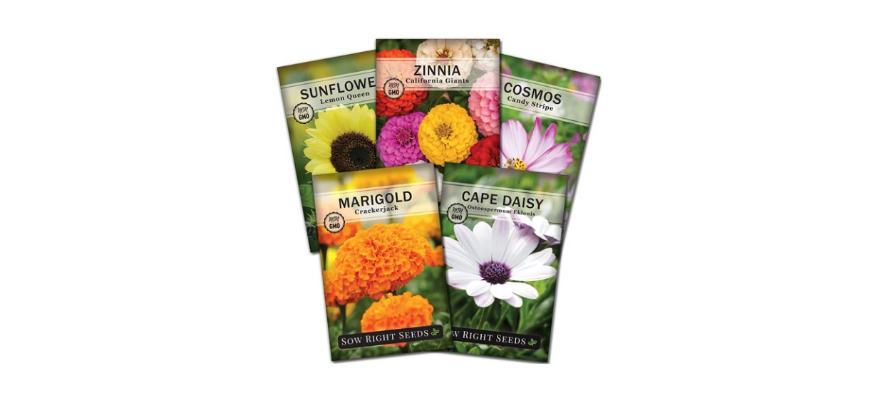 Best Sow Right Seeds Flower Seed Garden Collection