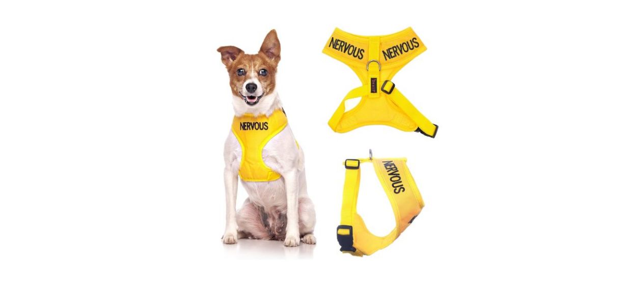 A small dog wearing a yellow vest with the word &quot;nervous&quot; printed in black text on it. A top and side view of the vest by itself.