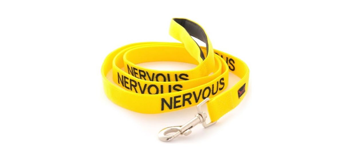 a yellow dog leash (6 feet long) printed with the word &quot;nervous&quot; in black text