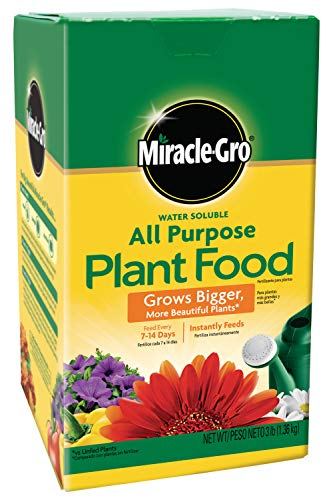 Miracle-Gro All Purpose Plant Food