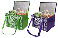 Earthwise Insulated Reusable Grocery Bag