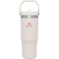 Stanley  IceFlow Stainless Steel Tumbler