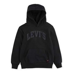 Levi's Big Pullover Hoodie