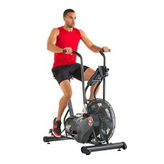 Schwinn AD6 Airdyne