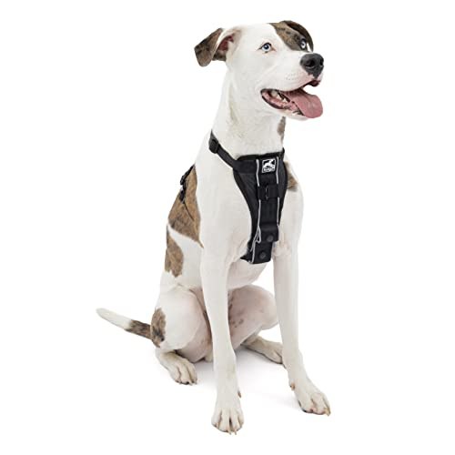 Kurgo  Tru-Fit Smart Harness 