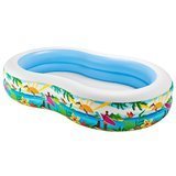 Intex easy set pool