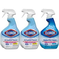 Clorox Spray Bathroom Cleaner
