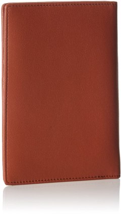 Amazon Basics Passport Holder Wallet