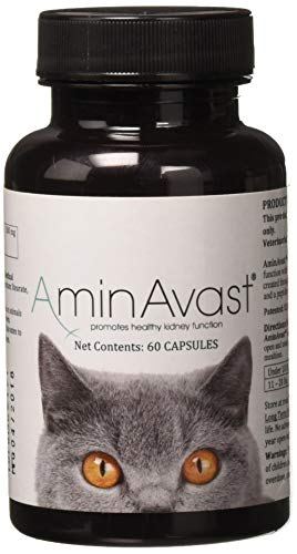 AminAvast Kidney Support Supplement for Cats