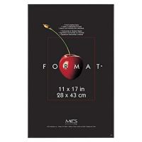 Format by MCS Industries 11x17" Format Frame in Black