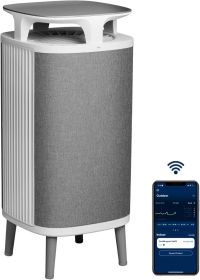 Blueair 5440i Large Room Air Purifier