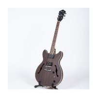 Ibanez Semi-Hollow 6-String Acoustic-Electric Guitar