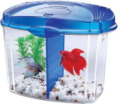 Aqueon Betta Bowl Aquarium Kit