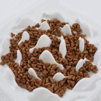 DotPet Slow Feeder Cat Bowl