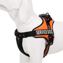 Chai's Choice Service Dog Vest Harness