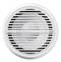 Clarion 10-Inch Subwoofer