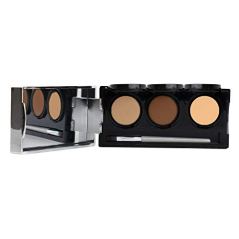 Dermaflage Full-Coverage Concealer Palette