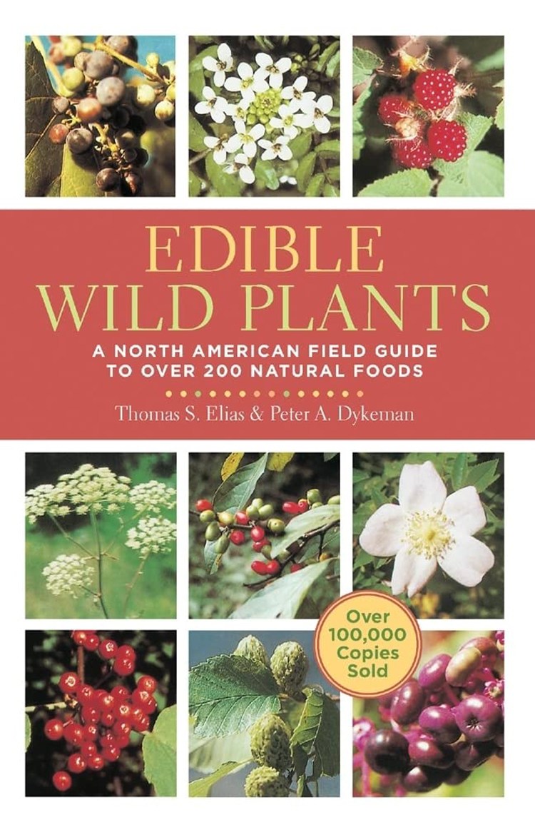 Thomas Elias, Peter Dykeman &#039;Edible Wild Plants: A North American Field Guide&#039;