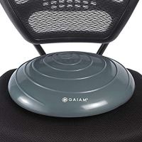 Gaiam Balance Disc Wobble Cushion