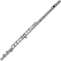 Gemeinhardt 2SP Flute