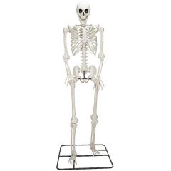 Haunted Living 10-ft Poseable Skeleton Decoration