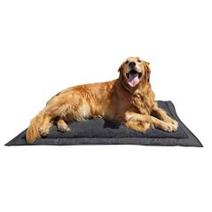 Lightspeed Outdoors Self Inflating Travel Dog Bed