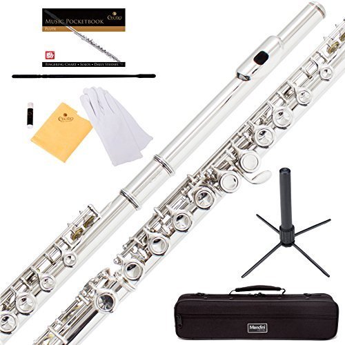 Mendini by Cecilio Closed Hole C Flute with Stand