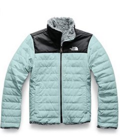 The North Face Reversible Mossbud Swirl Jacket