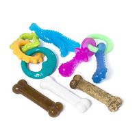 Nylabone Puppy Starter Pack Toy Bundle