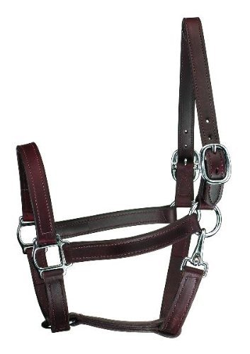 Perri&#039;s Leather Turnout Horse Halter