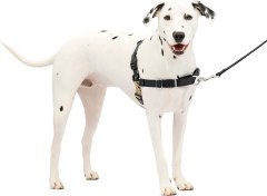 PetSafe Easy Walk Dog Harness