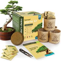 Planters' Choice Bonsai Starter Kit