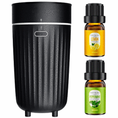 PUURVSAS Car Essemtial Oil Diffuser