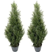 Raincol Artificial Cedar Topiary Indoor Tree