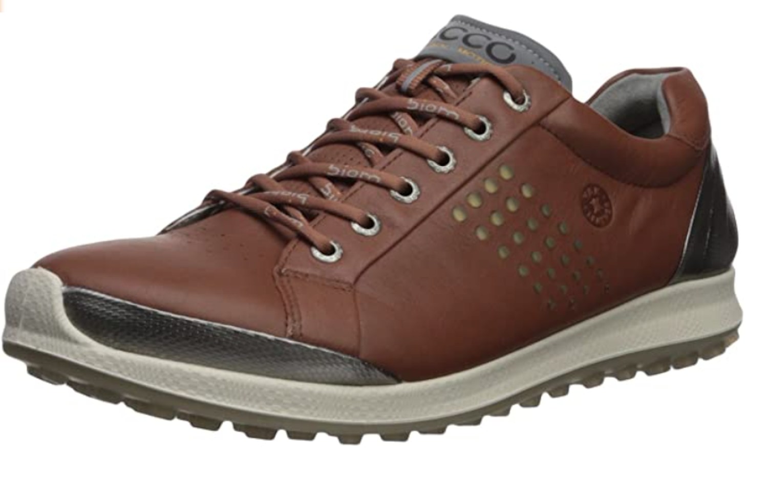 ecco hydromax vs gore tex