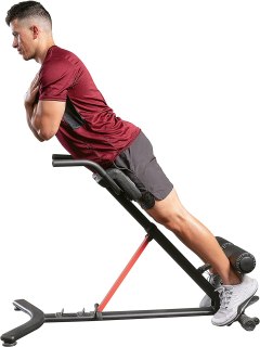 Sunny Health & Fitness Hyperextension Roman Chair with Dip Station